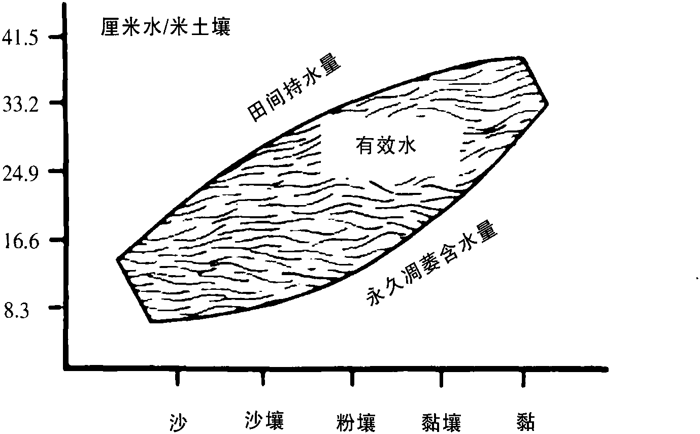 三、土壤质地和结构